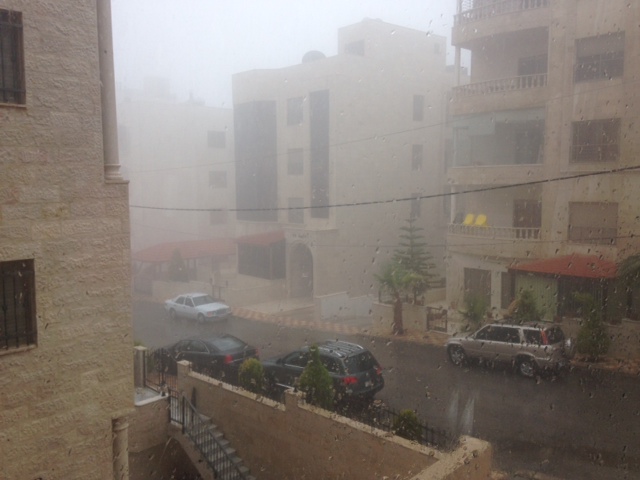 View from  my kitchen window