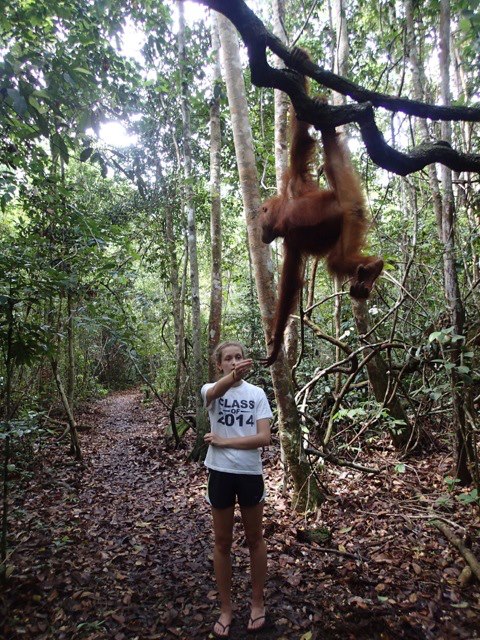 537282_10200246256506937_7092331_n